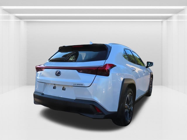2020 Lexus UX