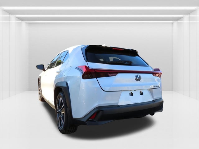 2020 Lexus UX