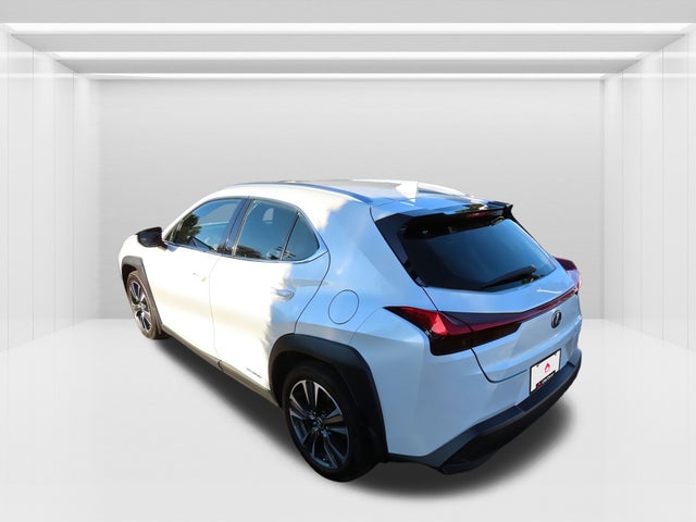 2020 Lexus UX
