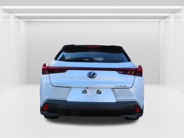 2020 Lexus UX