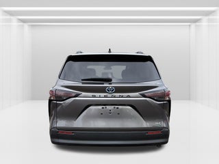2023 Toyota Sienna