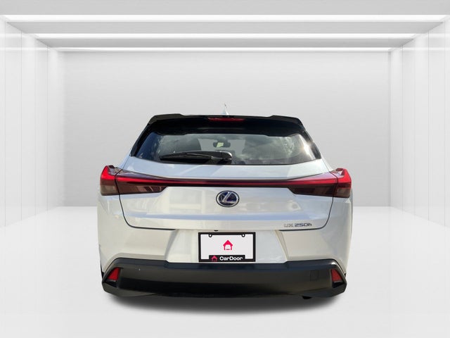 2019 Lexus UX