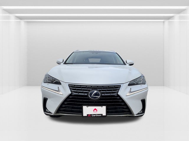 2019 Lexus NX