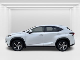 2019 Lexus NX
