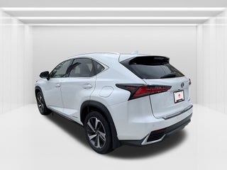 2019 Lexus NX