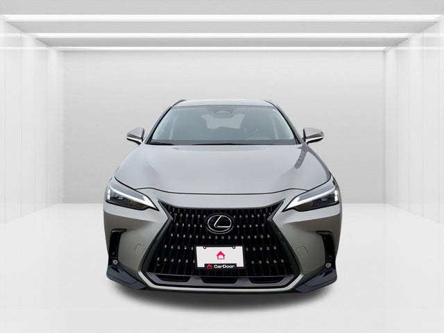 2022 Lexus NX