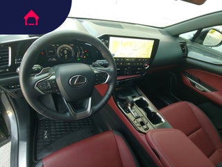 2024 Lexus NX
