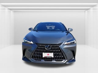 2024 Lexus NX