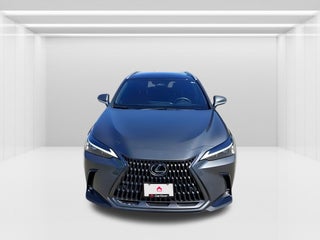 2024 Lexus NX