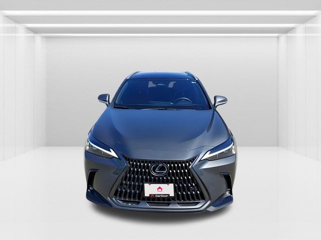 2024 Lexus NX