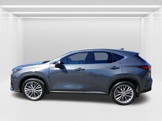 2024 Lexus NX