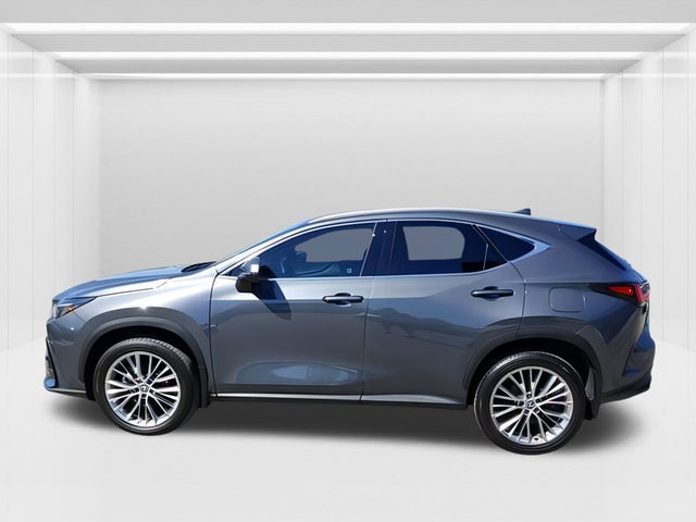 2024 Lexus NX