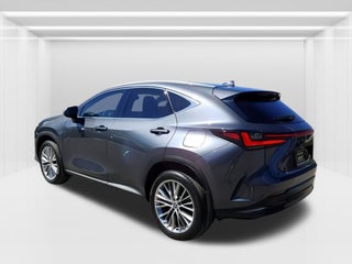 2024 Lexus NX
