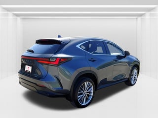2024 Lexus NX