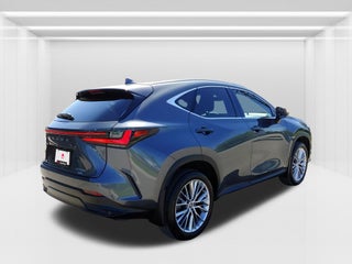2024 Lexus NX