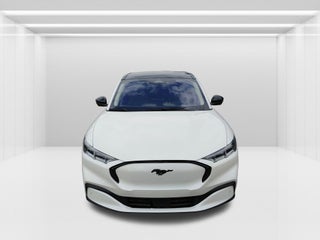 2021 Ford Mustang Mach-E