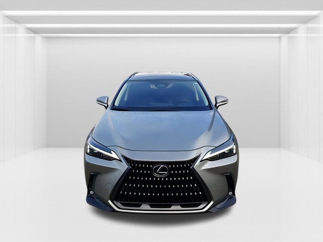 2022 Lexus NX