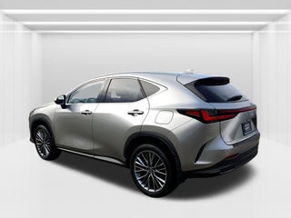 2022 Lexus NX