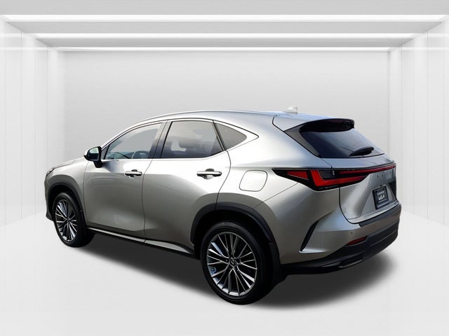 2022 Lexus NX