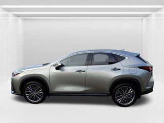 2022 Lexus NX