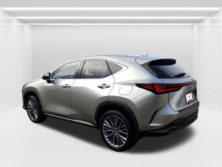 2022 Lexus NX