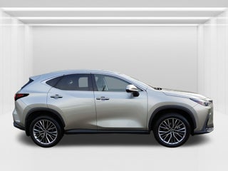 2022 Lexus NX