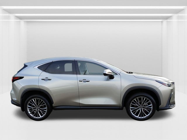 2022 Lexus NX