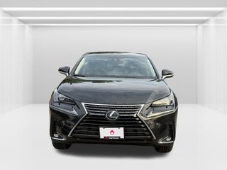 2019 Lexus NX