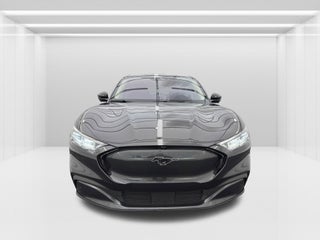 2021 Ford Mustang Mach-E