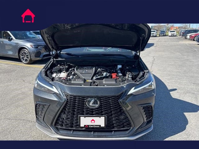 2024 Lexus NX