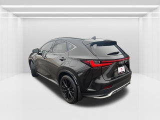 2024 Lexus NX