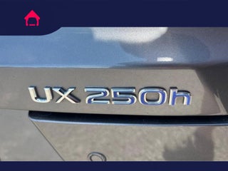 2021 Lexus UX