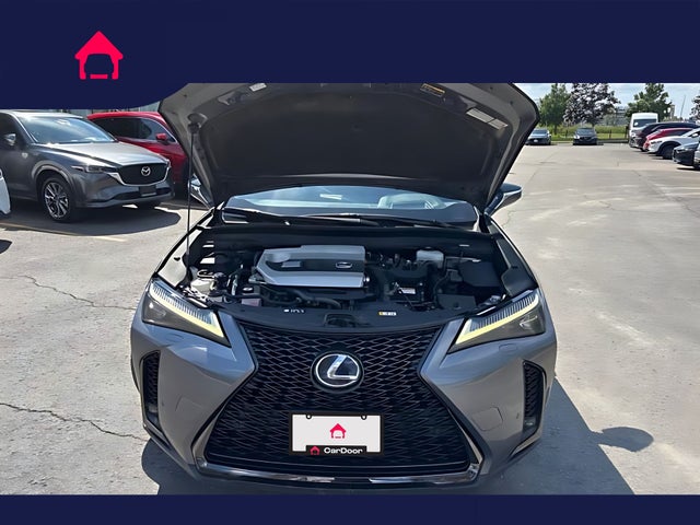2021 Lexus UX
