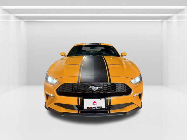 2019 Ford Mustang