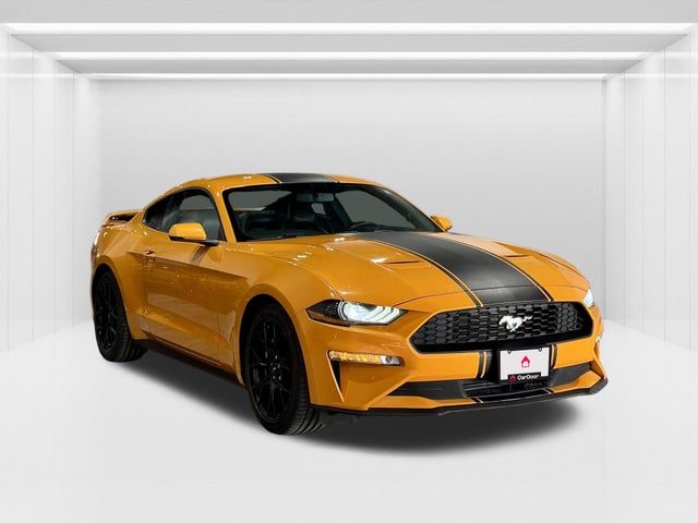 2019 Ford Mustang