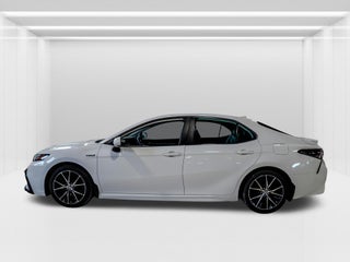 2021 Toyota Camry Hybrid