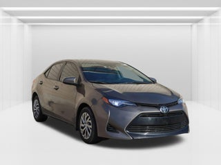 2019 Toyota Corolla