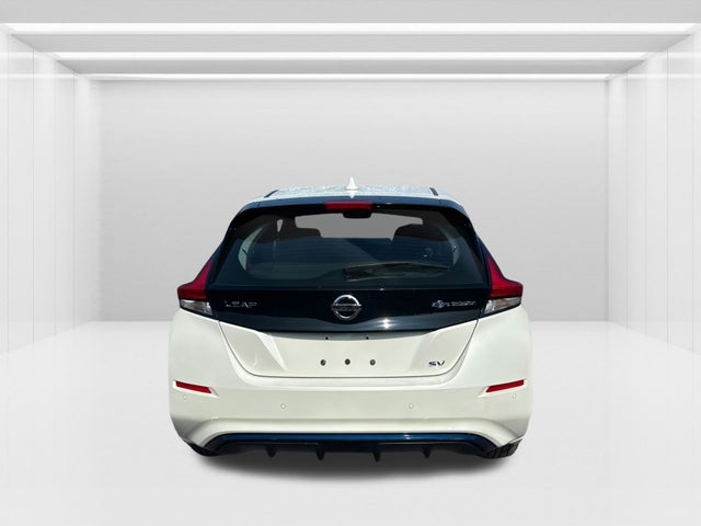 2020 Nissan LEAF
