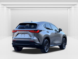 2022 Lexus NX