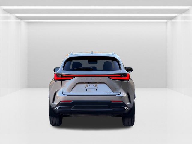 2022 Lexus NX