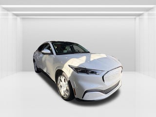 2022 Ford Mustang Mach-E