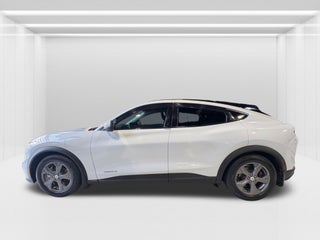 2022 Ford Mustang Mach-E