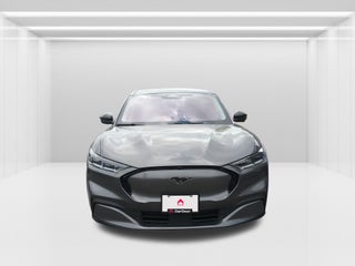 2021 Ford Mustang Mach-E