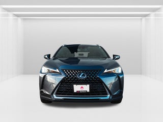 2023 Lexus UX