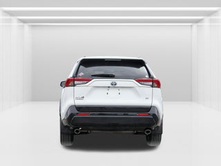 2024 Toyota RAV4 Prime