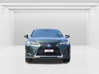 2020 Lexus UX