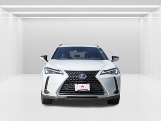 2022 Lexus UX