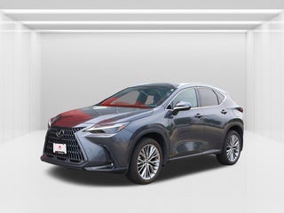 2024 Lexus NX