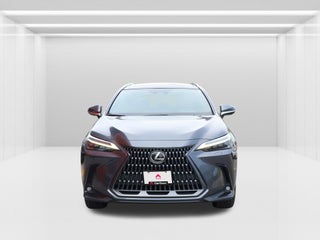2024 Lexus NX
