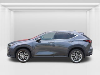 2024 Lexus NX